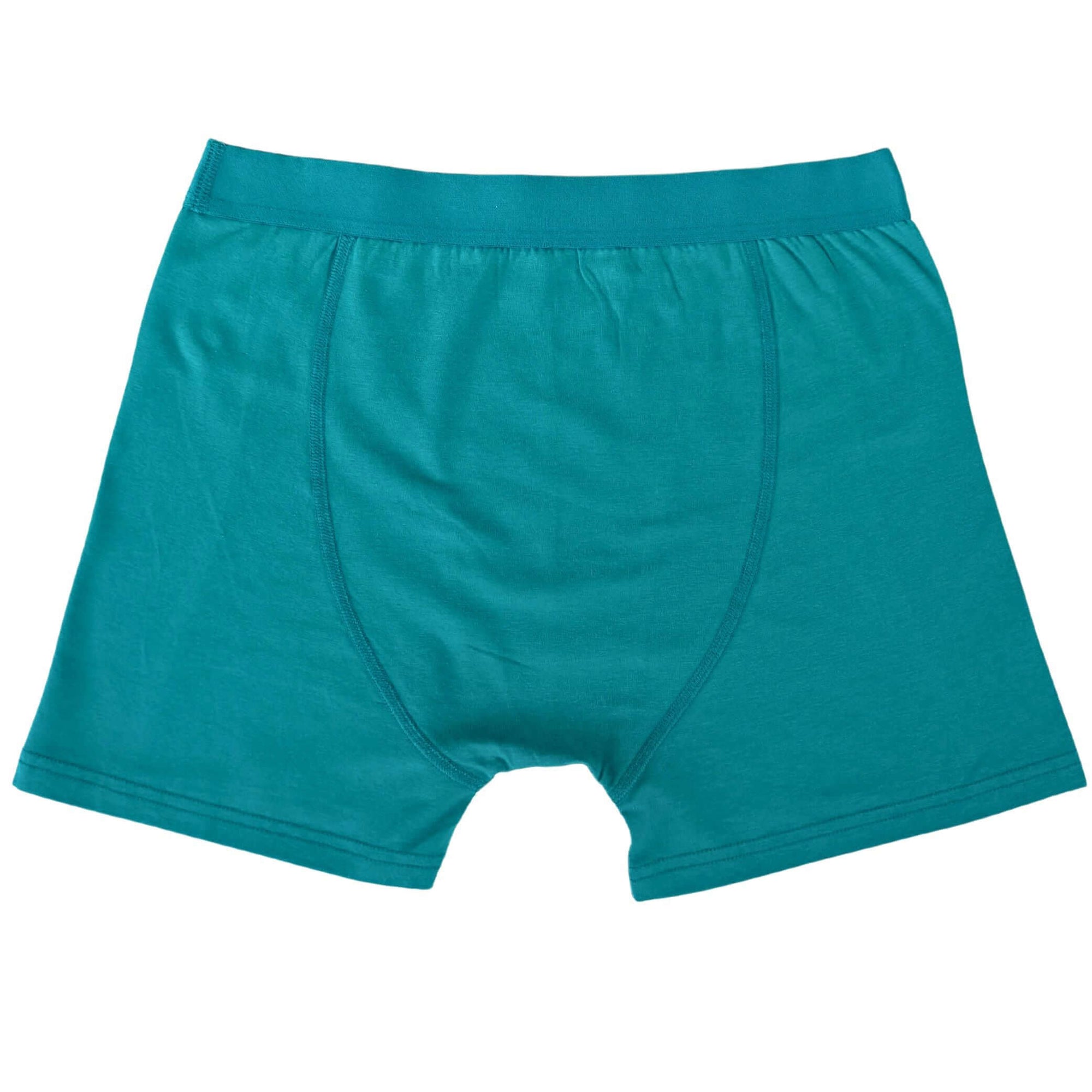 Everglade Boxer Briefs in turquoise color showcasing breathable organic cotton for daily comfort and style.
